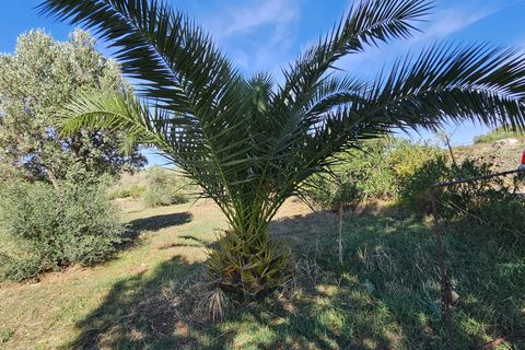 Villa i Collesano, Palermo, Collesano - € 95.000 | Ref: 10518 - foto 5